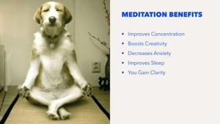 MEDITATION BENEFITS
• Improves Concentration
• Boosts Creativity
• Decreases Anxiety
• Improves Sleep
• You Gain Clarity
 
