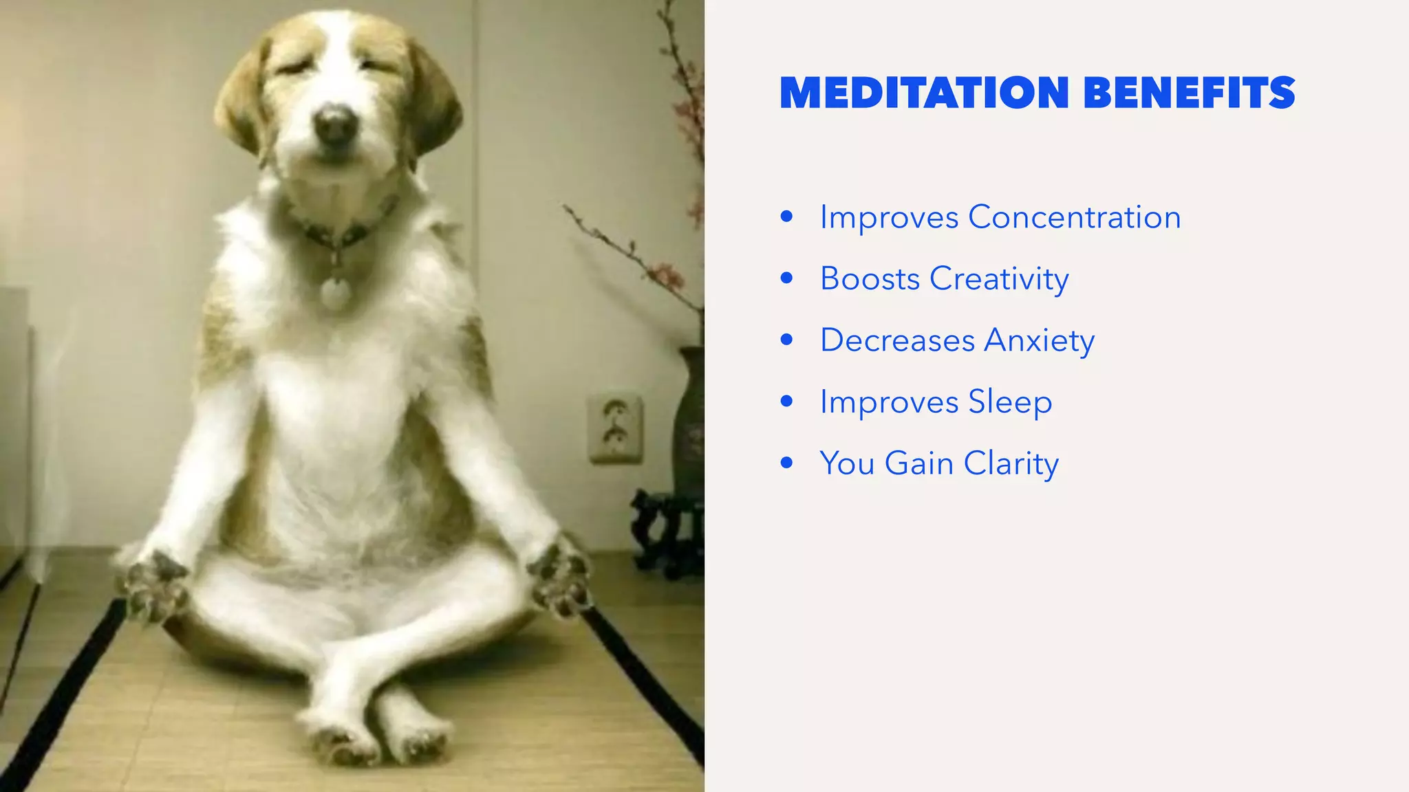 MEDITATION BENEFITS
• Improves Concentration
• Boosts Creativity
• Decreases Anxiety
• Improves Sleep
• You Gain Clarity
 