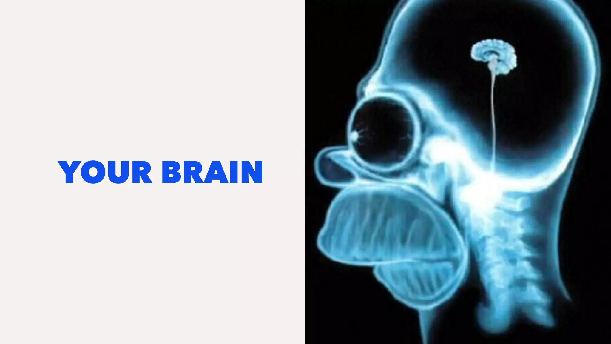 YOUR BRAIN
 