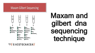 Maxam and
gilbert dna
sequencing
technique
 