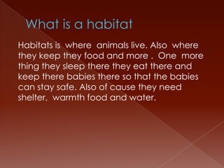 What is a habitatHabitats is  where  animals live. Also  where they keep they food and more .  One  more thing they sleep there they eat there and keep there babies there so that the babies can stay safe. Also of cause they need shelter,  warmth food and water.