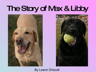 The Story of Max & Libby   By Leann Driscoll 
