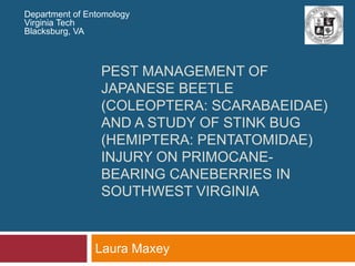 Department of Entomology Virginia Tech Blacksburg, VA PEST MANAGEMENT OF JAPANESE BEETLE (COLEOPTERA: SCARaBaEIDAE) AND A STUDY OF STINK BUG (HEMIPTERA: PENTATOMIDAE) INJURY ON PRIMOCANE-BEARING CANEBERRIES IN SOUTHWEST VIRGINIA Laura Maxey  
