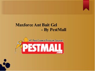 Maxforce Ant Bait Gel
- By PestMall

 