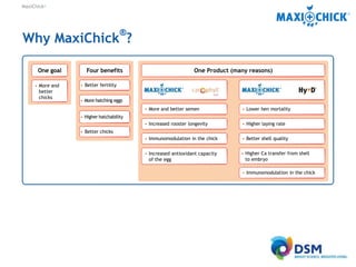 MaxiChick™ - Produce More & Better Chicks | PPTX