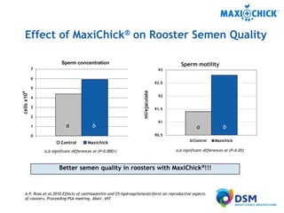 MaxiChick™ - Produce More & Better Chicks | PPTX