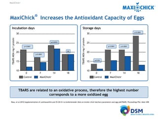 MaxiChick™ - Produce More & Better Chicks | PPTX