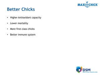MaxiChick™ - Produce More & Better Chicks | PPTX