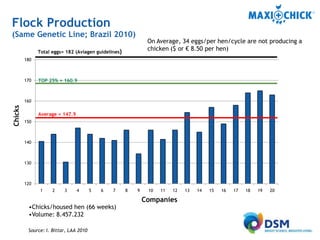MaxiChick™ - Produce More & Better Chicks | PPTX