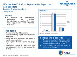 MaxiChick™ - Produce More & Better Chicks | PPTX