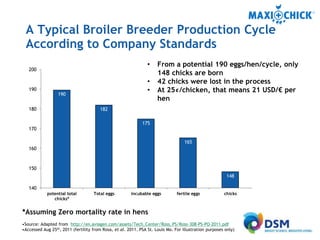 MaxiChick™ - Produce More & Better Chicks | PPTX