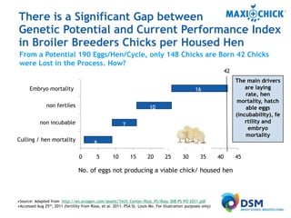 MaxiChick™ - Produce More & Better Chicks | PPTX