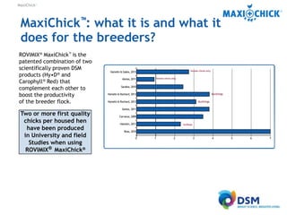 MaxiChick™ - Produce More & Better Chicks | PPTX