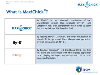 MaxiChick™ - Produce More & Better Chicks | PPTX