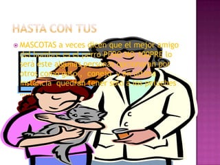  MASCOTAS  a veces dicen que el mejor amigo
 del hombre es el perro PERO NO 100PRE lo
 será éste algunas personas opcionaran por
 otros como gato , conejo y en ultima
 instancia quedran tener solo a los peluches
 ……..
 