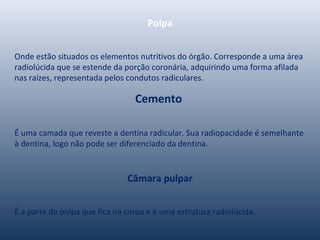 Polpa
Onde estão situados os elementos nutritivos do órgão. Corresponde a uma área
radiolúcida que se estende da porção coronária, adquirindo uma forma afilada
nas raízes, representada pelos condutos radiculares.
Cemento
É uma camada que reveste a dentina radicular. Sua radiopacidade é semelhante
à dentina, logo não pode ser diferenciado da dentina.
Câmara pulpar
É a parte da polpa que fica na coroa e é uma estrutura radiolúcida.
 