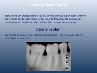 Espaço pericementário
Trata-se de um espaço entre a raiz e a lâmina dura que, por estar também
preenchido por tecidos moles, é totalmente transparente aos raios X,
mostrando-se como uma linha radiolúcida contínua entre ambos.
Osso alveolar
Apresenta-se como trabéculas ósseas radiopacas, limitadas por espaços
medulares radiolúcidos.
 