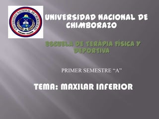 UNIVERSIDAD NACIONAL DE
CHIMBORAZO
ESCUELA DE TERÁPIA FÍSICA Y
DEPORTIVA
PRIMER SEMESTRE “A”
TEMA: MAXILAR INFERIOR
 
