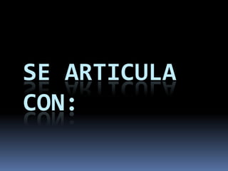 SE ARTICULA
CON:
 