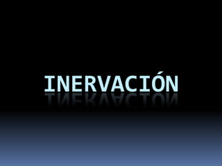 INERVACIÓN
 