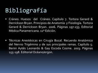 Bibliografía
 Cráneo. Huesos del Cráneo. Capítulo 7. Tortora Gerard &
  Derrickson Bryan. Principios de Anatomía y Fisiología. Tortora
  Gerard & Derrickson Bryan. 2006. Páginas 197-233. Editorial
  Médica Panamericana. 11º Edición.

 Técnicas Anestésicas en Cirugía Bucal. Recuerdo Anatómico
  del Nervio Trigémino y de sus principales ramas. Capítulo 5.
  Berini Aytés Leonardo & Gay Escoda Cosme. 2003. Páginas
  155-198. Editorial Océano/ergon.
 