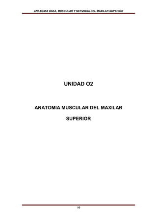 ANATOMIA OSEA, MUSCULAR Y NERVIOSA DEL MAXILAR SUPERIOR




                  UNIDAD O2



ANATOMIA MUSCULAR DEL MAXILAR

                   SUPERIOR




                          10
 