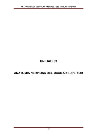 ANATOMIA OSEA, MUSCULAR Y NERVIOSA DEL MAXILAR SUPERIOR




                     UNIDAD 03


ANATOMIA NERVIOSA DEL MAXILAR SUPERIOR




                             13
 