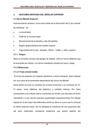 ANATOMIA OSEA, MUSCULAR Y NERVIOSA DEL MAXILAR SUPERIOR




3.     ANATOMIA NERVIOSA DEL MAXILAR SUPERIOR

3.1 Nervio Maxilar Superior:

Exclusivamente sensitivo, es la rama media de la trifurcación del V par craneal.

Se distribuye en:

       La duramadre

       Parte de la mucosa nasal

       Mucosa bucal de la bóveda y velo del paladar

       Región gingivodentaria del maxilar superior

       Tegumentos de la cara, párpado inferior, mejilla y labio superior.

3.1.1 Origen:

Nace en el borde convexo del ganglio de Gasser, entre el nervio oftálmico que

se encuentra por dentro, y el nervio mandibular situado por fuera y abajo

3.1.2 Relaciones:

3.1.2.1 Fosa craneal media:

El nervio se presenta con aspecto plexiforme y forma triangular. Está rodeado

por una vaina de la duramadre dependiente del cavum de Meckel.

Hacia dentro se pone en contacto con el seno cavernoso y su contenido (III, IV,

VI pares, rama oftálmica del trigémino y carótida interna). Por fuera

corresponde a los orificios oval e innominado de Arnold, que dan paso al nervio

mandibular y a los nervios petrosos superficiales respectivamente. Por debajo

reposa en el ala mayor del esfenoides donde se labra un surco que lo conduce

al orificio redondo mayor. Se ha señalado la existencia de una expansión alar

del   seno   esfenoidal,   constancia   anatómica    que   podría   explicar   las




                                        14
 