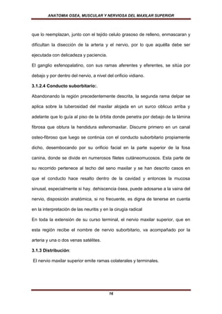 ANATOMIA OSEA, MUSCULAR Y NERVIOSA DEL MAXILAR SUPERIOR




que lo reemplazan, junto con el tejido celulo grasoso de relleno, enmascaran y

dificultan la disección de la arteria y el nervio, por lo que aquélla debe ser

ejecutada con delicadeza y paciencia.

El ganglio esfenopalatino, con sus ramas aferentes y eferentes, se sitúa por

debajo y por dentro del nervio, a nivel del orificio vidiano.

3.1.2.4 Conducto suborbitario:.

Abandonando la región precedentemente descrita, la segunda rama delpar se

aplica sobre la tuberosidad del maxilar alojada en un surco oblicuo arriba y

adelante que lo guía al piso de la órbita donde penetra por debajo de la lámina

fibrosa que obtura la hendidura esfenomaxilar. Discurre primero en un canal

osteo-fibroso que luego se continúa con el conducto suborbitario propiamente

dicho, desembocando por su orificio facial en la parte superior de la fosa

canina, donde se divide en numerosos filetes cutáneomucosos. Esta parte de

su recorrido pertenece al techo del seno maxilar y se han descrito casos en

que el conducto hace resalto dentro de la cavidad y entonces la mucosa

sinusal, especialmente si hay. dehiscencia ósea, puede adosarse a la vaina del

nervio, disposición anatómica, si no frecuente, es digna de tenerse en cuenta

en la interpretación de las neuritis y en la cirugía radical

En toda la extensión de su curso terminal, el nervio maxilar superior, que en

esta región recibe el nombre de nervio suborbitario, va acompañado por la

arteria y una o dos venas satélites.

3.1.3 Distribución:

El nervio maxilar superior emite ramas colaterales y terminales.




                                         16
 