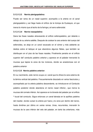 ANATOMIA OSEA, MUSCULAR Y NERVIOSA DEL MAXILAR SUPERIOR




3.1.3.1.3.3   Nervio pterigopalatino:

Puede ser rama de un nasal superior; acompaña a la arteria en el canal

pterigopalatino y así llega hasta el orificio de la trompa de Eustaquio, al que

inerva lo mismo que al techo de la faringe y el seno esfenoidal.

3.1.3.1.3.4   Nervio nasopalatino:

Gana las fosas nasales atravesando el orificio esfenopalatino, por delante o

debajo de su arteria satélite. Después de costear la cara anterior del cuerpo del

esfenoides, se aloja en un cana! excavado en el vómer y más adelante se

desliza sobre el tabique al que abandona algunos filetes, que también se

distribuyen en e! piso de las fosas nasales. Finalmente penetra en el orificio

superior del' conducto palatino anterior y aparece en el paladar inervando la

mucosa que tapiza la zona de los incisivos, donde se anastomosa con el

palatino anterior

3.1.3.1.3.5 Nervio palatino anterior:

En su nacimiento, este nervio ocupa un; canal que le ofrece la cara externa de

la lámina vertical del palatino. Frecuentemente disociado en varios fascículos y

acompañado por la arteria palatina descendente, se introduce-en el Conducto

palatino posterior donde abandona el nervio nasal inferior;, que inerva la

mucosa del cornete inferior. Así aparece en la bóveda del paladar por el orificio

^ bucal del conducto. Sigue entonces un canal labrada en la apófisis palatina

del maxilar, donde cursan la arteria por fuera y la vena por dentro del nervio,

hasta dividirse por último en varias ramas. Unas, recurrentes, inervarán la

mucosa de la cara inferior del velo del paladar, en tanto las anteriores, más




                                        19
 
