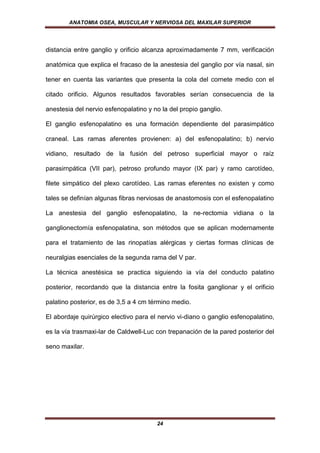ANATOMIA OSEA, MUSCULAR Y NERVIOSA DEL MAXILAR SUPERIOR




distancia entre ganglio y orificio alcanza aproximadamente 7 mm, verificación

anatómica que explica el fracaso de la anestesia del ganglio por vía nasal, sin

tener en cuenta las variantes que presenta la cola del cornete medio con el

citado orificio. Algunos resultados favorables serían consecuencia de la

anestesia del nervio esfenopalatino y no la del propio ganglio.

El ganglio esfenopalatino es una formación dependiente del parasimpático

craneal. Las ramas aferentes provienen: a) del esfenopalatino; b) nervio

vidiano, resultado de la fusión del petroso superficial mayor o raíz

parasirnpática (VII par), petroso profundo mayor (IX par) y ramo carotídeo,

filete simpático del plexo carotídeo. Las ramas eferentes no existen y como

tales se definían algunas fibras nerviosas de anastomosis con el esfenopalatino

La anestesia del ganglio esfenopalatino, la ne-rectomia vidiana o la

ganglionectomía esfenopalatina, son métodos que se aplican modernamente

para el tratamiento de las rinopatías alérgicas y ciertas formas clínicas de

neuralgias esenciales de la segunda rama del V par.

La técnica anestésica se practica siguiendo ia vía del conducto palatino

posterior, recordando que la distancia entre la fosita ganglionar y el orificio

palatino posterior, es de 3,5 a 4 cm término medio.

El abordaje quirúrgico electivo para el nervio vi-diano o ganglio esfenopalatino,

es la vía trasmaxi-lar de Caldwell-Luc con trepanación de la pared posterior del

seno maxilar.




                                       24
 