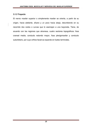 ANATOMIA OSEA, MUSCULAR Y NERVIOSA DEL MAXILAR SUPERIOR




3.1.3 Trayecto

El nervio maxilar superior o simplemente maxilar se orienta, a partir de su

origen, hacia adelante, afuera y un poco hacia abajo, describiendo en su

recorrido dos codos o curvas que lo asemejan a una bayoneta. Tiene, de

acuerdo con las regiones que atraviesa, cuatro sectores topográficos: fosa

craneal media, conducto redondo mayor, fosa pterigomaxilar y conducto

suborbitario, por cuyo orificio facial se expande en fuetes terminales.




                                        25
 