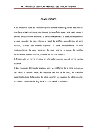 ANATOMIA OSEA, MUSCULAR Y NERVIOSA DEL MAXILAR SUPERIOR




                                CONCLUSIONES



1. La anatomía ósea del maxilar superior consta de las siguientes estructuras:

Una base mayor o interna que integra la superficie nasal, una base menor o

externa articulada con el malar, la cara anteroexterna, la cara posteroexterna,

la cara superior, la cara interna o nasal, la apófisis ascendentes, el seno

maxilar, Suturas del maxilar superior, la cara anteroexterna, la cara

posteroexterna, la cara superior, la cara interna o nasal, la apófisis

ascendentes, el seno maxilar, Suturas del maxilar superior

2. Existe solo un nervio principal en el maxilar superior que el nervio maxilar

superior

3. Los músculos del maxilar superior son : M. mirtiforme de la nariz o depresor

del septo o tabique nasal, M. elevador del ala de la nariz, M. Elevador

superficial del ala de la nariz y del labio superior, M. elevador del labio superior,

M. canino o elevador del ángulo de la boca y el M. buccinador.




                                         26
 