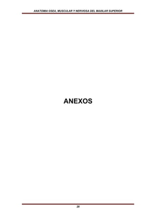 ANATOMIA OSEA, MUSCULAR Y NERVIOSA DEL MAXILAR SUPERIOR




                  ANEXOS




                          28
 
