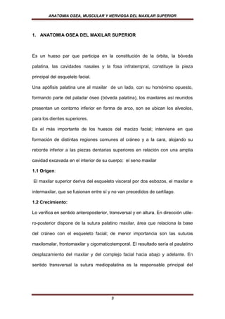 ANATOMIA OSEA, MUSCULAR Y NERVIOSA DEL MAXILAR SUPERIOR




1. ANATOMIA OSEA DEL MAXILAR SUPERIOR



Es un hueso par que participa en la constitución de la órbita, la bóveda

palatina, las cavidades nasales y la fosa infratempral, constituye la pieza

principal del esqueleto facial.

Una apófisis palatina une al maxilar de un lado, con su homónimo opuesto,

formando parte del paladar óseo (bóveda palatina), los maxilares así reunidos

presentan un contorno inferior en forma de arco, son se ubican los alveolos,

para los dientes superiores.

Es el más importante de los huesos del macizo facial; interviene en que

formación de distintas regiones comunes al cráneo y a la cara, alojando su

reborde inferior a las piezas dentarias superiores en relación con una amplia

cavidad excavada en el interior de su cuerpo: el seno maxilar

1.1 Origen:

El maxilar superior deriva del esqueleto visceral por dos esbozos, el maxilar e

intermaxilar, que se fusionan entre sí y no van precedidos de cartílago.

1.2 Crecimiento:

Lo verifica en sentido anteroposterior, transversal y en altura. En dirección utile-

ro-posterior dispone de la sutura palatino maxilar, área que relaciona la base

del cráneo con el esqueleto facial; de menor importancia son las suturas

maxilomalar, frontomaxilar y cigomaticotemporal. El resultado sería el paulatino

desplazamiento del maxilar y del complejo facial hacia abajo y adelante. En

sentido transversal la sutura mediopalatina es la responsable principal del




                                         3
 