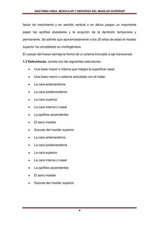 ANATOMIA OSEA, MUSCULAR Y NERVIOSA DEL MAXILAR SUPERIOR




factor de crecimiento y en sentido vertical o en altura juegan un importante

papel !as apófisis alveolares y la erupción de la dentición temporaria y

permanente. Se admite que aproximadamente a los 20 años de edad el maxilar

superior ha completado su morfogénesis.

El cuerpo del hueso semeja la forma de un prisma truncado a eje transversal.

1.3 Estructuras: consta con las siguientes estructuras:

       Una base mayor o interna que integra la superficie nasal

       Una base menor o externa articulada con el malar

       La cara anteroexterna

       La cara posteroexterna

       La cara superior

       La cara interna o nasal

       La apófisis ascendentes

       El seno maxilar

       Suturas del maxilar superior

       La cara anteroexterna

       La cara posteroexterna

       La cara superior

       La cara interna o nasal

       La apófisis ascendentes

       El seno maxilar

       Suturas del maxilar superior




                                       4
 