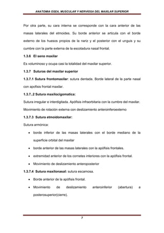 ANATOMIA OSEA, MUSCULAR Y NERVIOSA DEL MAXILAR SUPERIOR




Por otra parte, su cara interna se corresponde con la cara anterior de las

masas laterales del etmoides. Su borde anterior se articula con el borde

externo de los huesos propios de la nariz y el posterior con el unguis y su

cumbre con la parte externa de la escotadura nasal frontal.

1.3.6 El seno maxilar

Es voluminoso y ocupa casi la totalidad del maxilar superior.

1.3.7 Suturas del maxilar superior

1.3.7.1 Sutura frontomaxilar: sutura dentada. Borde lateral de la parte nasal

con apofisis frontal maxilar.

1.3.7..2 Sutura maxilocigomatica:

Sutura irregular e interdigitada. Apófisis infraorbitaria con la cumbre del maxilar.

Movimiento de rotación externa con deslizamiento anteroinferoexterno

1.3.7.3 Sutura etmoidomaxilar:

Sutura armónica:

       borde inferior de las masas laterales con el borde mediano de la

       superficie orbital del maxilar

       borde anterior de las masas laterales con la apófisis frontales.

       extremidad anterior de los cornetes interiores con la apófisis frontal.

       Movimiento de deslizamiento anteroposterior

1.3.7.4 Sutura maxilonasal: sutura escamosa.

       Borde anterior de la apófisis frontal.

       Movimiento      de       deslizamiento    anteroinferior     (abertura)     a

       posterosuperior(cierre).




                                         7
 
