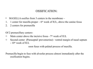 OSSIFICATION:
• MAXILLA ossifies from 3 centers in the membrane –
1. 1 center for maxilla proper – 6th
week of IUL, above the canine fossa
2. 2 centers for premaxilla
Of 2 premaxillary centers-
o Main center above the incisive fossa - 7th
week of IUL
o Second center (Paraseptal/ prevomerine)– ventral margin of nasal septum
- 10th
week of IUL
soon fuses with palatal process of maxilla.
Premaxilla begin to fuse with alveolar process almost immediately after the
ossification begins.
 
