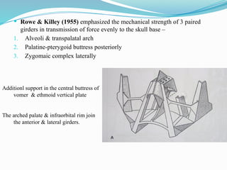  Rowe & Killey (1955) emphasized the mechanical strength of 3 paired
girders in transmission of force evenly to the skull base –
1. Alveoli & transpalatal arch
2. Palatine-pterygoid buttress posteriorly
3. Zygomaic complex laterally
Additionl support in the central buttress of
vomer & ethmoid vertical plate
The arched palate & infraorbital rim join
the anterior & lateral girders.
 