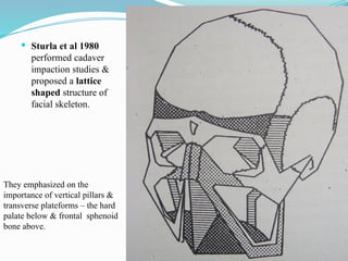  Sturla et al 1980
performed cadaver
impaction studies &
proposed a lattice
shaped structure of
facial skeleton.
They emphasized on the
importance of vertical pillars &
transverse plateforms – the hard
palate below & frontal sphenoid
bone above.
 