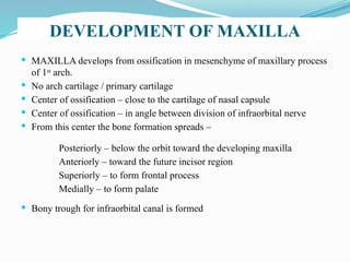 DEVELOPMENT OF MAXILLA
 MAXILLA develops from ossification in mesenchyme of maxillary process
of 1st
arch.
 No arch cartilage / primary cartilage
 Center of ossification – close to the cartilage of nasal capsule
 Center of ossification – in angle between division of infraorbital nerve
 From this center the bone formation spreads –
 Bony trough for infraorbital canal is formed
Posteriorly – below the orbit toward the developing maxilla
Anteriorly – toward the future incisor region
Superiorly – to form frontal process
Medially – to form palate
 
