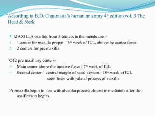 According to B.D. Chaurassia’s human anatomy 4th
edition vol. 3 The
Head & Neck
 MAXILLA ossifies from 3 centers in the membrane –
1. 1 center for maxilla proper – 6th
week of IUL, above the canine fossa
2. 2 centers for pre maxilla
Of 2 pre maxillary centers-
o Main center above the incisive fossa - 7th
week of IUL
o Second center – ventral margin of nasal septum - 10th
week of IUL
soon fuses with palatal process of maxilla.
Pr emaxilla begin to fuse with alveolar process almost immediately after the
ossification begins.
 
