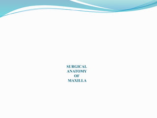 SURGICAL
ANATOMY
OF
MAXILLA
 