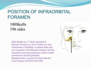 POSITION OF INFRAORBITAL
FORAMEN
Sárka Bejdová a,*, Václav Krajícek b,
Miroslav Peterka a,c, Pavel Trefný a,d, Jana
Velemínská a Variability in palatal shape and
size in patients with bilateral complete cleft lip
and palate assessed using dense surface model
construction and 3D geometric
Morphometrics, Journal of Cranio-Maxillo-
Facial Surgery 40 (2012) 201e208
100Skulls
196 sides
 