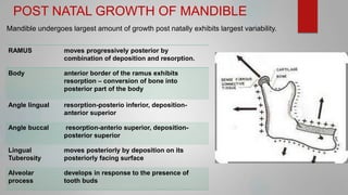 Maxilla and Mandible - its applied aspect - Copy.pptx