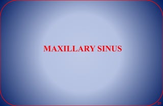 MAXILLARY SINUS
25
 