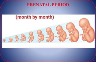 PRENATAL PERIOD
33
 
