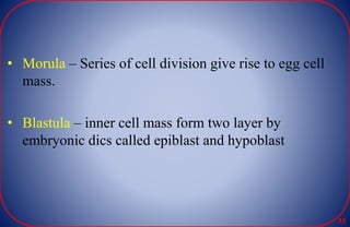 • Morula – Series of cell division give rise to egg cell
mass.
• Blastula – inner cell mass form two layer by
embryonic dics called epiblast and hypoblast
35
 