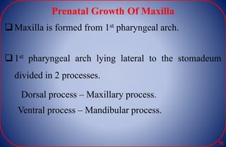Prenatal Growth Of Maxilla
Maxilla is formed from 1st pharyngeal arch.
1st pharyngeal arch lying lateral to the stomadeum
divided in 2 processes.
Dorsal process – Maxillary process.
Ventral process – Mandibular process.
38
 