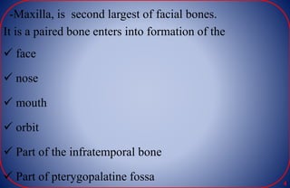 -Maxilla, is second largest of facial bones.
It is a paired bone enters into formation of the
 face
 nose
 mouth
 orbit
 Part of the infratemporal bone
 Part of pterygopalatine fossa 4
 